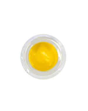 Delta 8 Sauce - 10 Grams with Cannabis Derived Terpenes - Berry Pie - Strain: Berry Pie