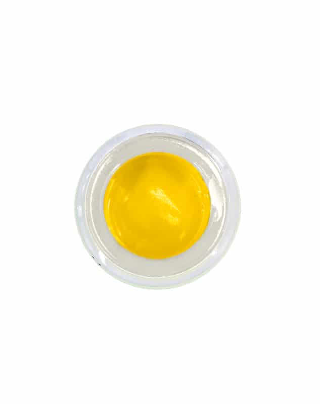 Delta 8 Sauce - 10 Grams with Cannabis Derived Terpenes - Berry Pie - Strain: Berry Pie