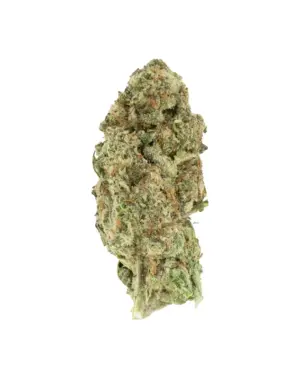 THCA Flower - Blue Dream Pie - 3.5g - Dive into the dreamy euphoria of Blue Dream Pie, a Sativa strain that tantalizes with its sweet berry flavors. Perfect for those seeking a blissful escape, this THCA flower is a must-try for enthusiasts looking to elevate their cannabis experience.
Genetics: Blue Dream x Key Lime Pie
Strain: Sativa
Effects: Euphoric
Flavors: Sweet, Berry
THCA Content: 26.79%