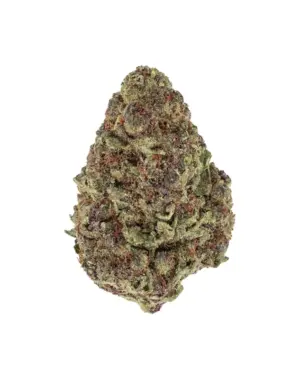 THCA Flower - Purple Cream - 3.5g - Purple Cream is an indica strain that's a true gem for relaxation and stress relief. Its mellowing and calming effects are perfect for a serene end to your day. With unknown genetics, this mysterious flower is making a name for itself.
Genetics: Unknown lineage
Strain: Indica
Effects: Mellowing, Calming, Relaxing, Stress Relief, Euphoric
Flavors: Fruity, Lavender, Pungent
THCA Content: 23.78%