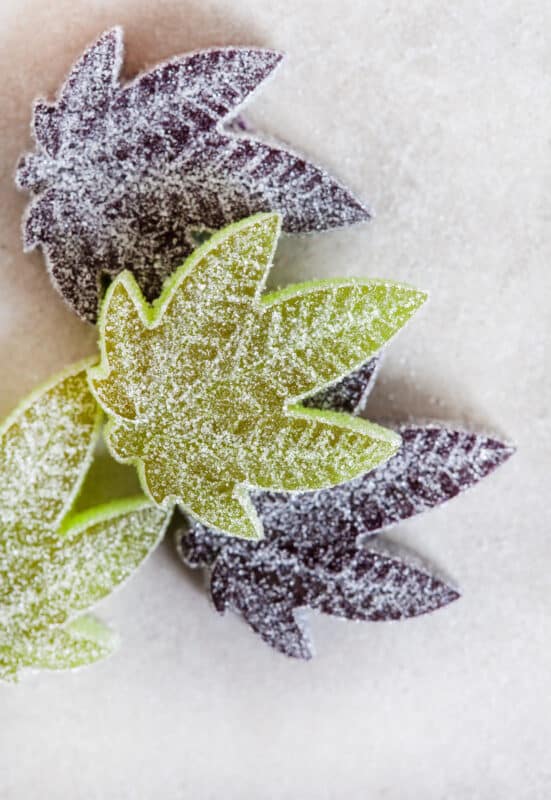 Delta 8 Gummies: A Deep Dive into the World of Hemp-Derived THC Gummies