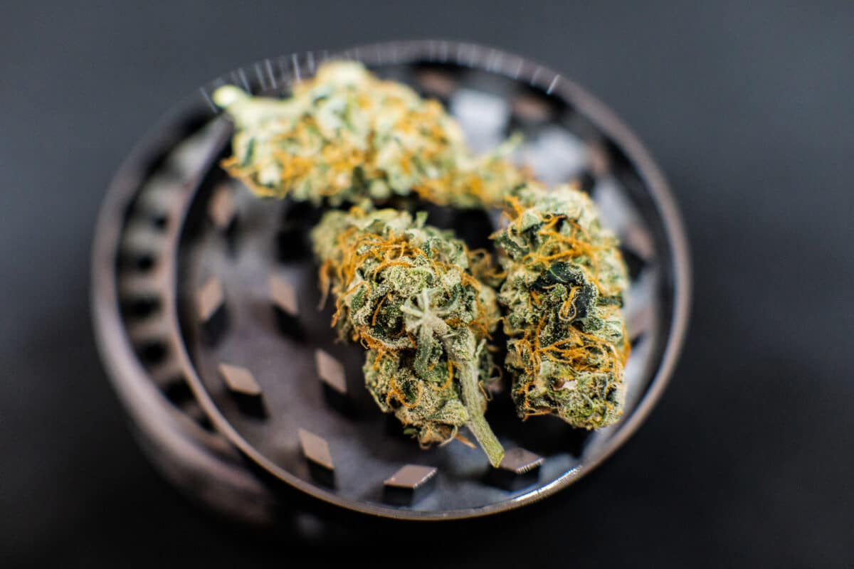 Understanding THCA Flower