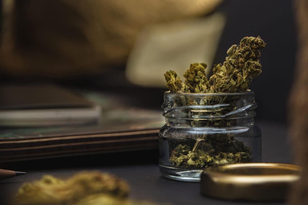 Where to Buy THCA Flower Online: Your Go-To Resource