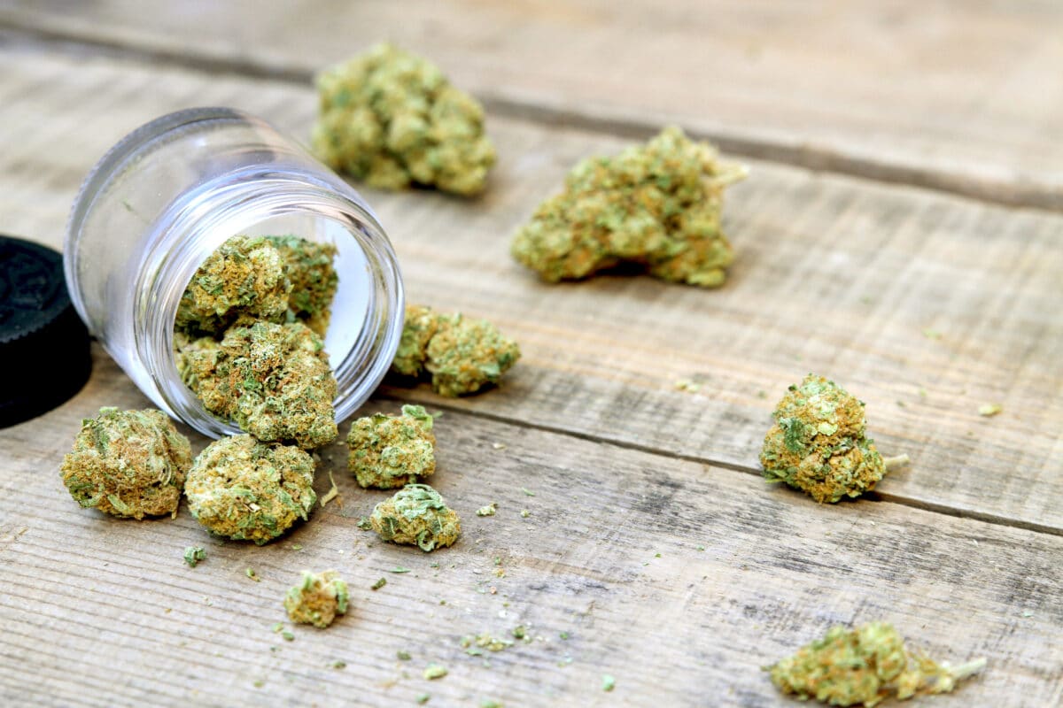 THCA Flower: A Traditional Cannabis Experience, Legally