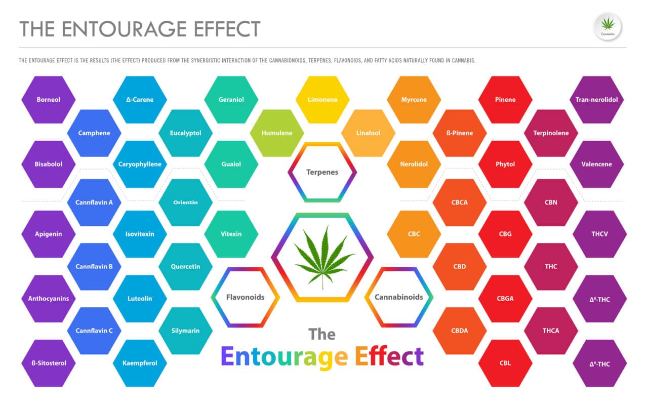 The Impact of Terpenes on Delta 9 Vape